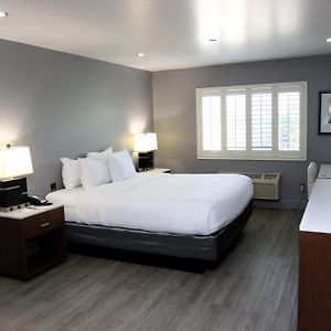 One Room King Suite