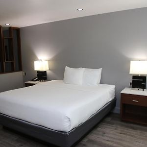 One Room Suite Disability Access